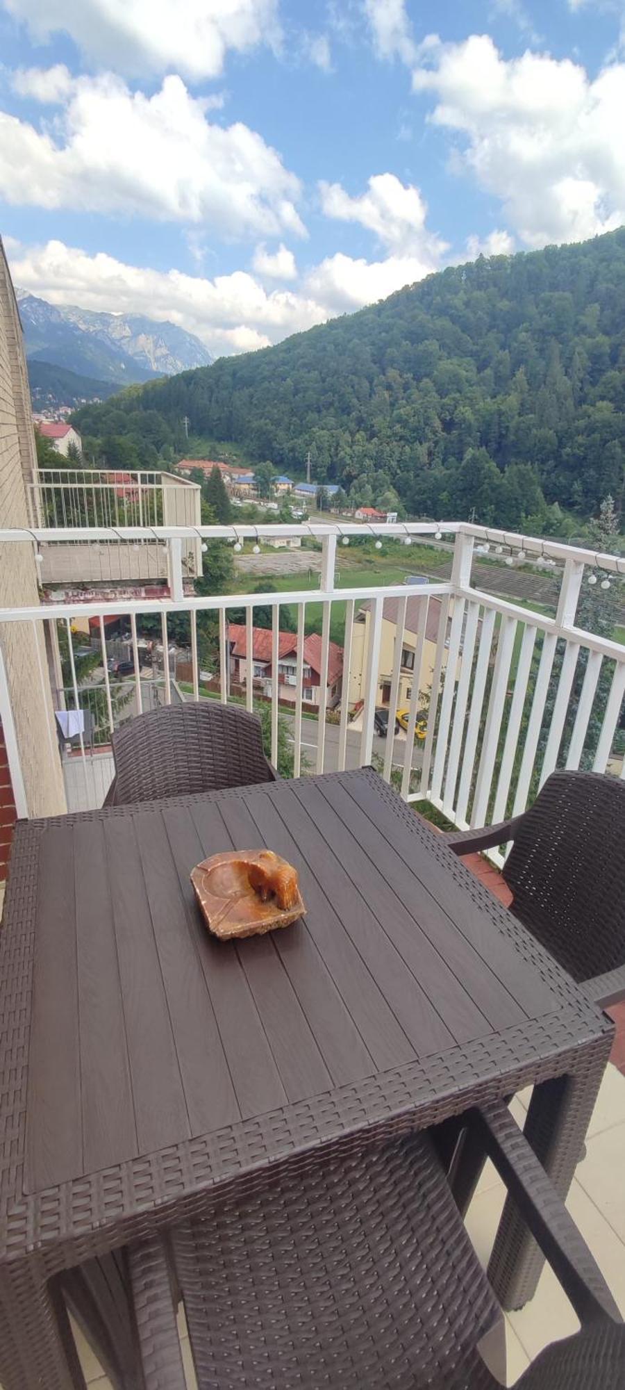 Duplex Belle View Sinaia-Free Parking Leilighet Eksteriør bilde