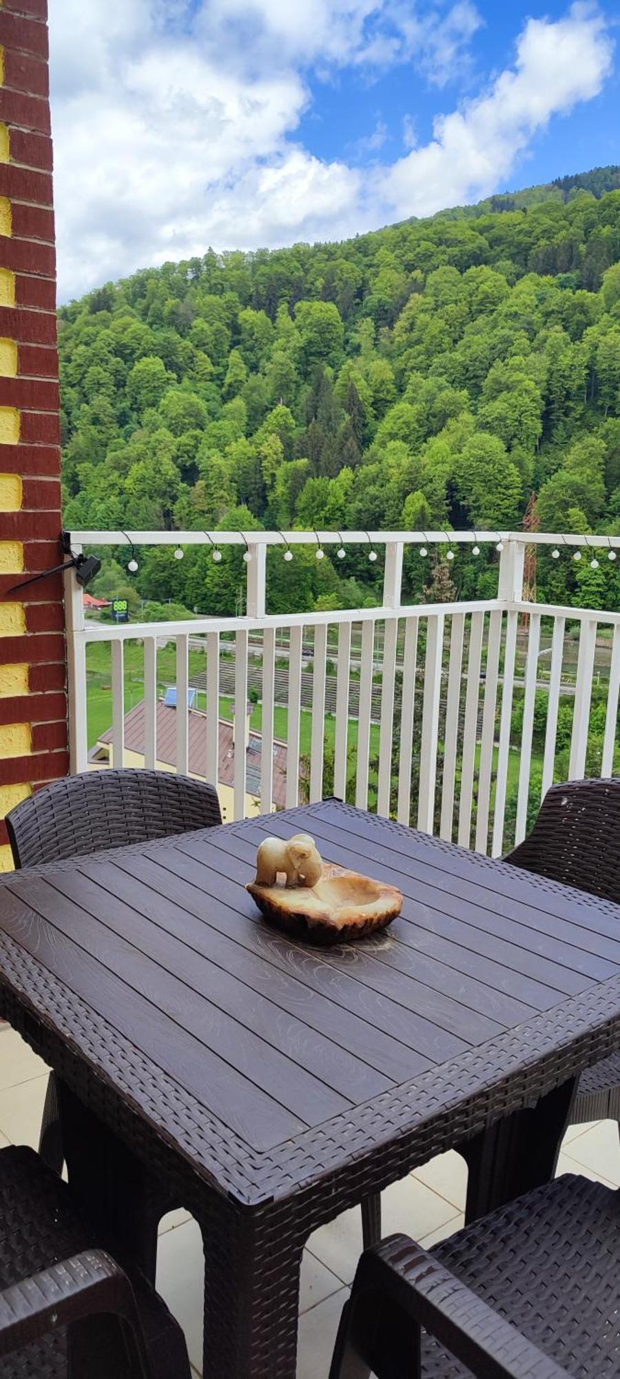 Duplex Belle View Sinaia-Free Parking Leilighet Eksteriør bilde